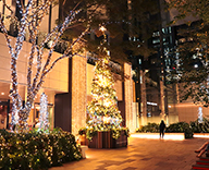21 GINZA KAMON 京橋 東京スクエアガーデン イルミネーション クリスマスツリー