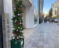 21 銀座4丁目 晴海通り クリスマスツリー SEASONS