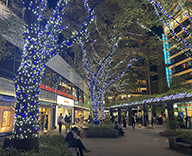 21 西銀座 4丁目 数寄屋橋 公園 イルミネーション 装飾