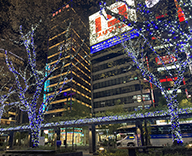 21 西銀座 4丁目 数寄屋橋 公園 イルミネーション 装飾