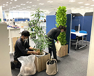 22 西新宿 オフィス 観葉 植物 レンタル hitotoki