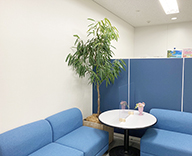 22 木場 オフィス エントランス 応接室 観葉植物 レンタル hitotoki