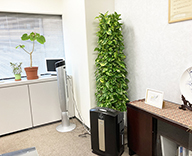 22 木場 オフィス エントランス 応接室 観葉植物 レンタル hitotoki