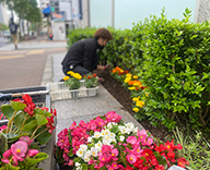 22 東京都 八丁堀 綜通ビ 花壇 草花 植替え Futa-toki