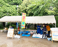 22 中央区 即売会 花 苗木 あかつき 公園 Futa-toki