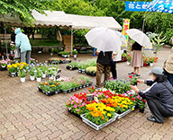 22 中央区 即売会 花 苗木 あかつき 公園 Futa-toki