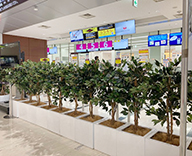 22 大阪 国際空港 搭乗 ゲート ベンジャミン 造木 hitotoki