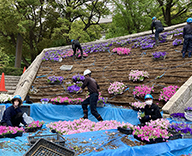 22 東京都 墨田区 横網町 公園 春 花壇 Futatoki