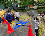 22 芝浦公園 田んぼ 稲刈り 体験 お米 はざがけ Futa-toki