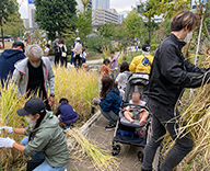 22 芝浦公園 田んぼ 稲刈り 体験 お米 はざがけ Futa-toki