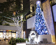 22 東京 スクエアガーデン クリスマス イルミネーション 点灯式 フラワーショップ GINZA KAMON 再生 アーティスト いなずみくみこ コラボレーション 廃材 アート 作品 巨大 クリスマス リース ワークショップ 子供達 ストーリー シルバー オーナメント 10回目 新しい アート クリスマスツリー 発見 プログラミング 光 効果 事例 SEASONS