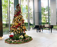 22 銀座 京橋 東京 スクエアガーデン オフィスエントランス GINZA KAMON クリスマスツリー SEASONS 事例