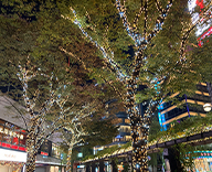 22 銀座 京橋 東京 スクエアガーデン オフィスエントランス GINZA KAMON クリスマスツリー SEASONS 事例