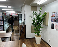 23 秋葉原 カード ショップ Bee 本舗 秋葉原 観葉 植物  hitotoki 事例