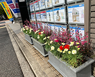 23 中央区 佃 不動産屋 プランター 春 花 植え 替え 使用 花 マーガレット ラナンキュラス ジャノメエリカ ギョリュウバイ 鮮やか 色合い 見て 方 雰囲気 届け hitotoki 事例