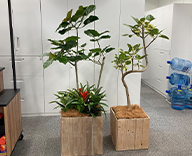 23 目黒 オフィス 観葉 植物 レンタル hitotoki 事例
