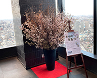 23 山形市 スカイツリーイーストタワー エレベーターホール 啓翁桜 活け込み 3/15 展示 SEASONS 事例