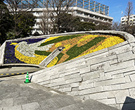 23 墨田区 両国 横網町 公園 東京 空襲 犠牲 者 追悼 平和 祈念 碑 花壇 祈念碑 平和 繁栄 尊い 建設 祈念碑 花 植え 名簿 小 中 高校生 デザイン 植替え 冬 11月 小学校 生徒 まずは自分から 説明 しあわせ とり うちゅう そめて 種類 黄 色 オレンジ 白 ブルー パンジー よく 咲く スミレ 緑 パセリ 3月 10日 1945年 春 東京大空襲 慰霊大法要 Futa-Toki 事例