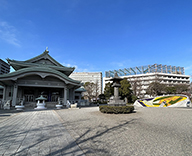 23 墨田区 両国 横網町 公園 東京 空襲 犠牲 者 追悼 平和 祈念 碑 花壇 祈念碑 平和 繁栄 尊い 建設 祈念碑 花 植え 名簿 小 中 高校生 デザイン 植替え 冬 11月 小学校 生徒 まずは自分から 説明 しあわせ とり うちゅう そめて 種類 黄 色 オレンジ 白 ブルー パンジー よく 咲く スミレ 緑 パセリ 3月 10日 1945年 春 東京大空襲 慰霊大法要 Futa-Toki 事例