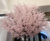 23 日比谷 OKUROJI 大型 桜 アートフラワー 造木 本物 春 装飾 SEASONS 事例