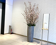 23 京橋 オフィスビル 桜 装飾 hitotoki 事例