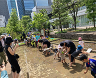 23 芝浦 公園 田んぼ イベント 管理 該当ブランドなし 事例