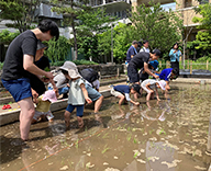 23 芝浦 公園 田んぼ イベント 管理 該当ブランドなし 事例