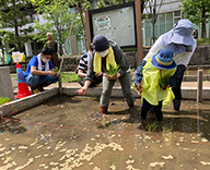 23 芝浦 公園 田んぼ イベント 管理 該当ブランドなし 事例