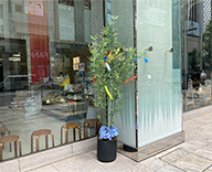 23 東京 銀座 七夕 造花 装飾 SEASONS 事例