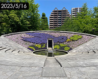 23 墨田区両国 祈念碑花壇 花絵 公園花壇 季節の花 futatoki 事例