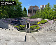 23 墨田区両国 祈念碑花壇 花絵 公園花壇 季節の花 futatoki 事例