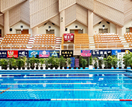 23 北海道江別市 水泳場 装飾 観葉植物 スポットレンタル SEASONS 事例