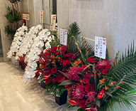 23 銀座 レストラン 店内装飾 観葉植物 テラス hitotoki 事例