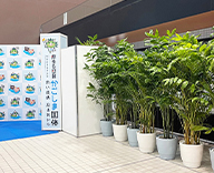 23 鹿児島 国体 観葉植物 スポットレンタル 装飾 SEASONS 事例