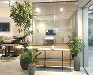 23 港区 オフィス 観葉植物 レンタル メンテナンス hitotoki 事例