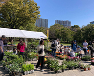 23 中央区 月島第一児童公園 花苗 植木 即売会 futatoki 事例