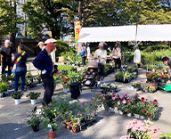 23 中央区 月島第一児童公園 花苗 植木 即売会 futatoki 事例