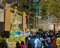 23 京橋 商業施設 クリスマスツリー イルミネーション 点灯式 SEASONS 事例