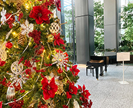 23 中央区 エントランス オフィス クリスマスツリー オリジナル デコレーション SEASONS 事例