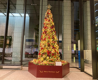 23 八重洲 エントランス クリスマスツリー クリスマス装飾 フェイクツリー SEASONS 事例