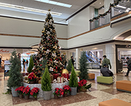 23 神戸市西区 商業施設 ディスプレイ ツリー クリスマス SEASONS 事例