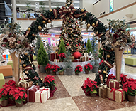 23 神戸市西区 商業施設 ディスプレイ ツリー クリスマス SEASONS 事例