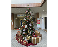 23 神戸市西区 商業施設 ディスプレイ ツリー クリスマス SEASONS 事例