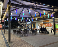 23 神戸市西区 商業施設 オーロラカラー イルミネーション 冬装飾 夜景 SEASONS 事例