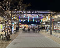 23 神戸市西区 商業施設 オーロラカラー イルミネーション 冬装飾 夜景 SEASONS 事例