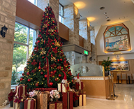 23 神戸市 ホテル ツリー インスタ クリスマス装飾　デコレーション SEASONS 事例