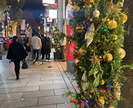 23 銀座 中央通り　晴海通り クリスマスツリー オーナメント デコレーション イルミネーション SEASONS 事例