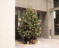 23 八丁堀 エントランス モミの木 クリスマスツリー 装飾 SEASONS 事例