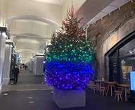 23 日比谷 商業施設 クリスマスツリー イルミネーション 色の変化 SEASONS 事例