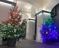 23 日比谷 商業施設 クリスマスツリー イルミネーション 色の変化 SEASONS 事例